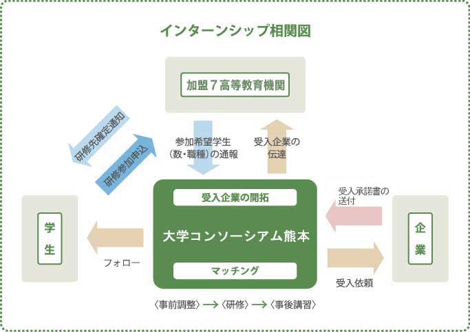インターンシップ組織図